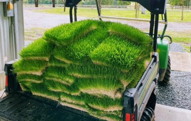 WhatsApp Image 2023-06-13 at 12.56.22 (1)